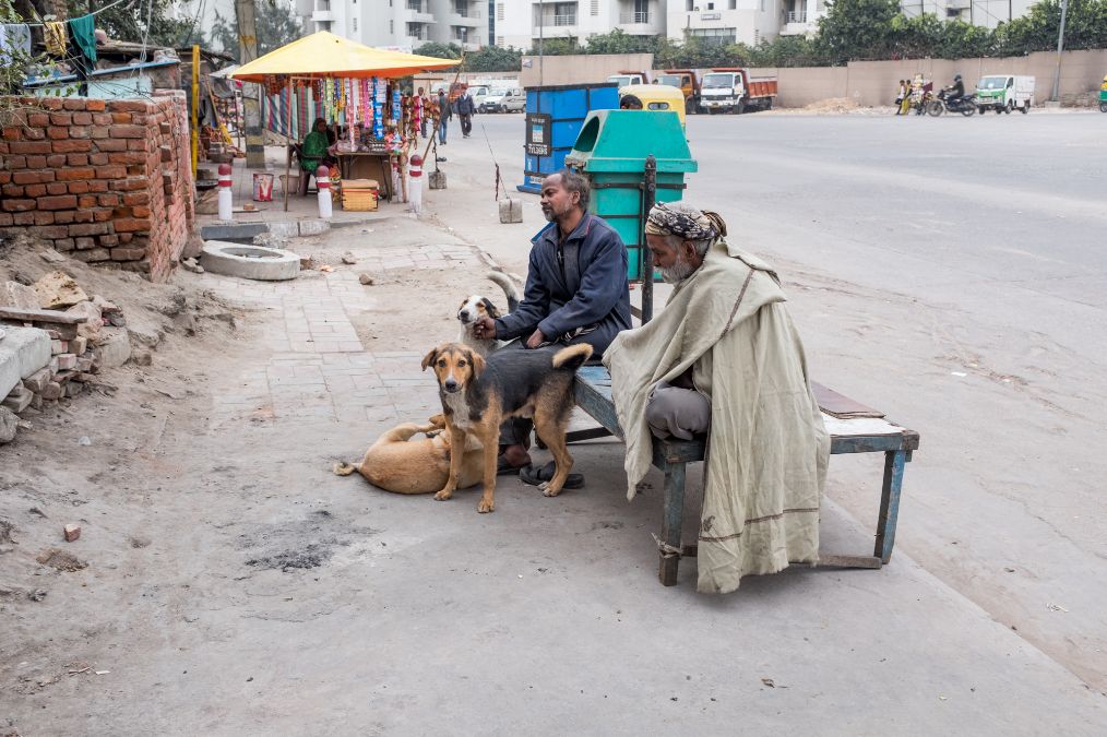 据说,现在的德里有超过十五万的流浪人口露宿街头.