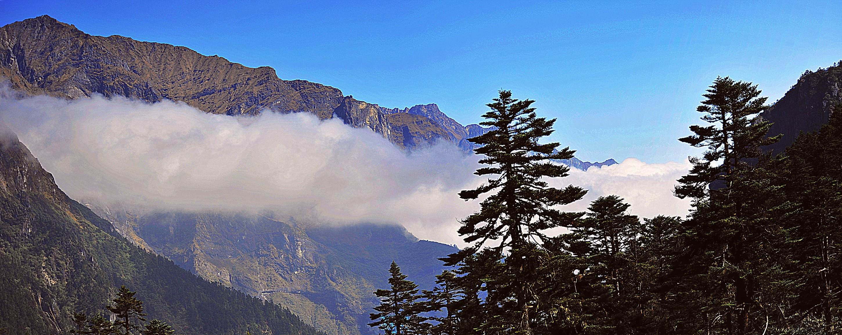 中国十大最美森林公园——海螺沟冰川森林公园