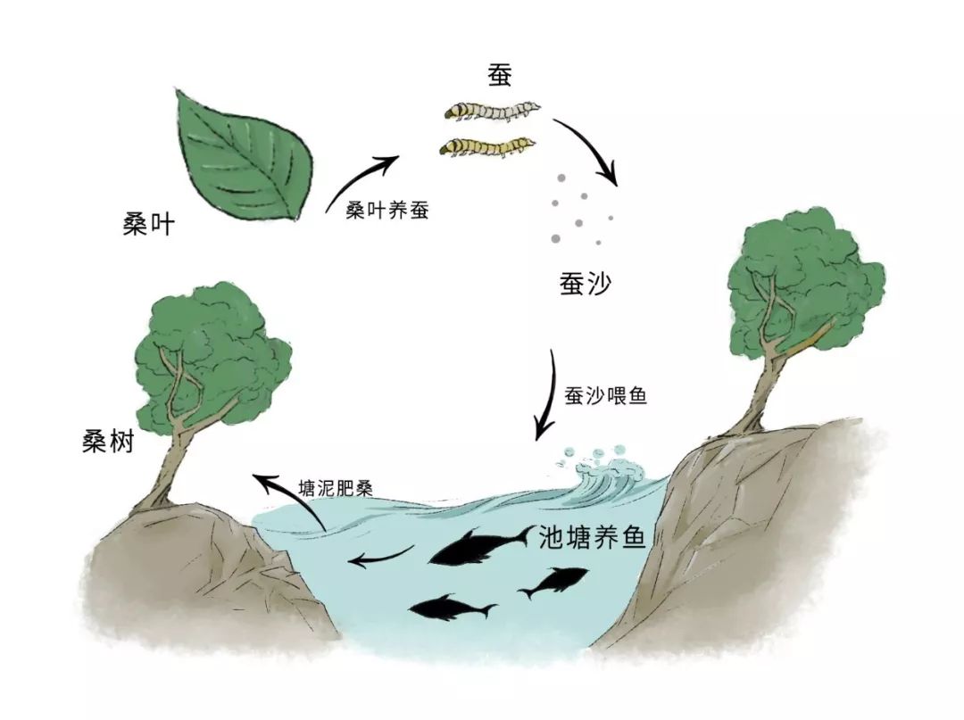 2018年4月,"浙江湖州桑基鱼塘系统"在罗马"全球重要农业文化遗产国际