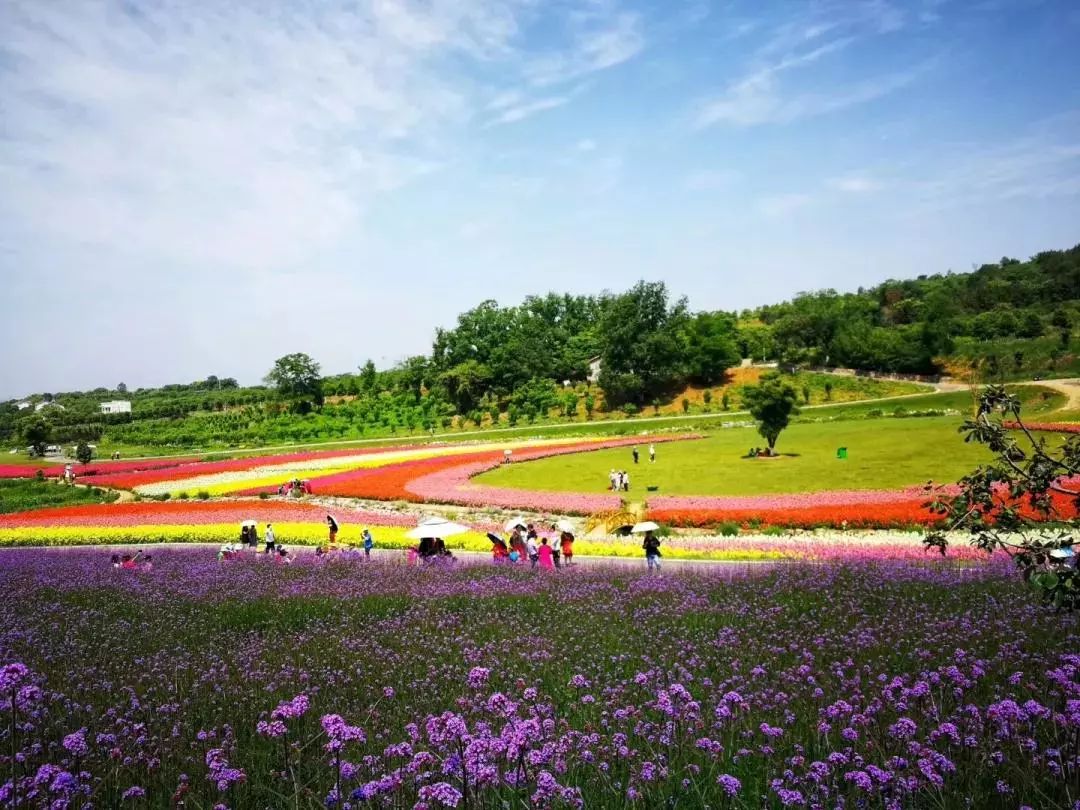 宜昌市枝江安福寺鎮東方年華田園綜合體交通指南:宜昌方向:在宜昌城區