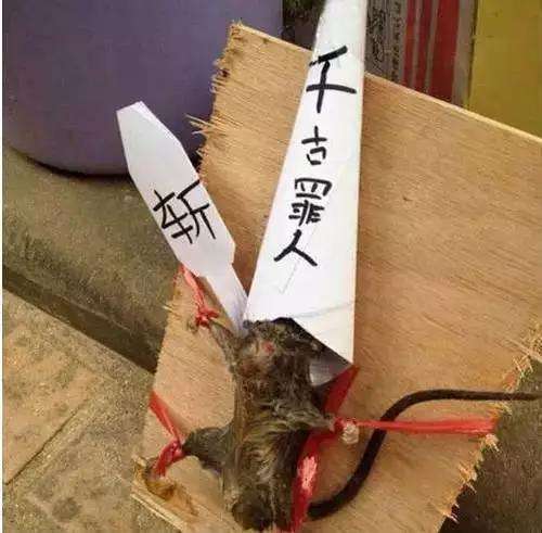 爆笑段子我如果赔不起以身相许好了吧