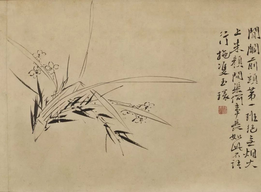 欣赏 | 徐渭《墨花九段图》卷(内附高清大图)