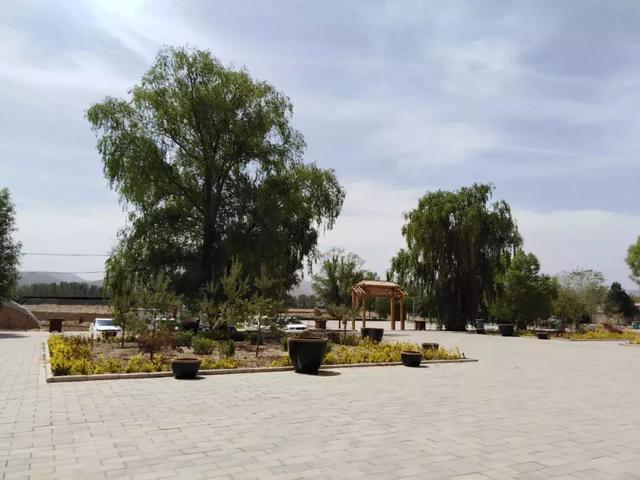 端起炕桌上的罐罐茶北湾镇富坪村嘉禾园乡味十足