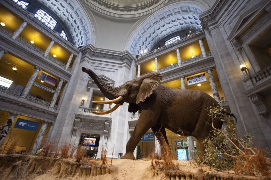 史密森尼国家航空航天博物馆在美国首都华盛顿的国家航空航天博物馆