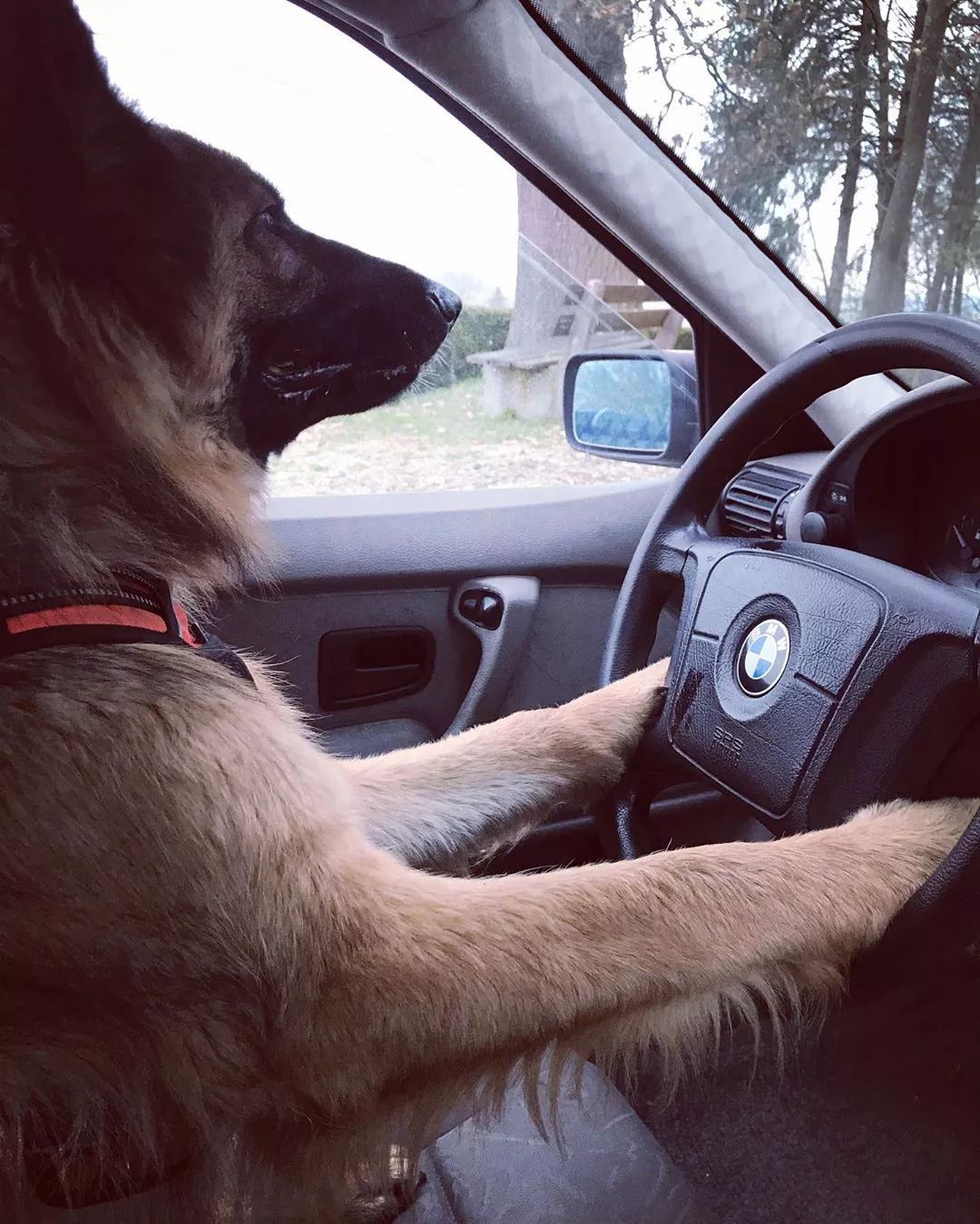 国外宝马车主都是这么发朋友圈的分分钟脱颖而出