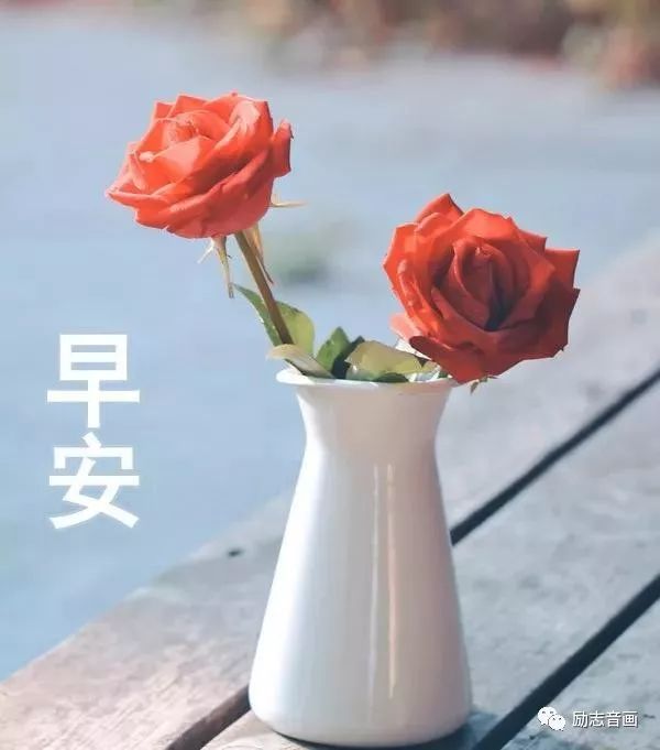 早晨好图片大全动态2019早上好问候语及关心话句子