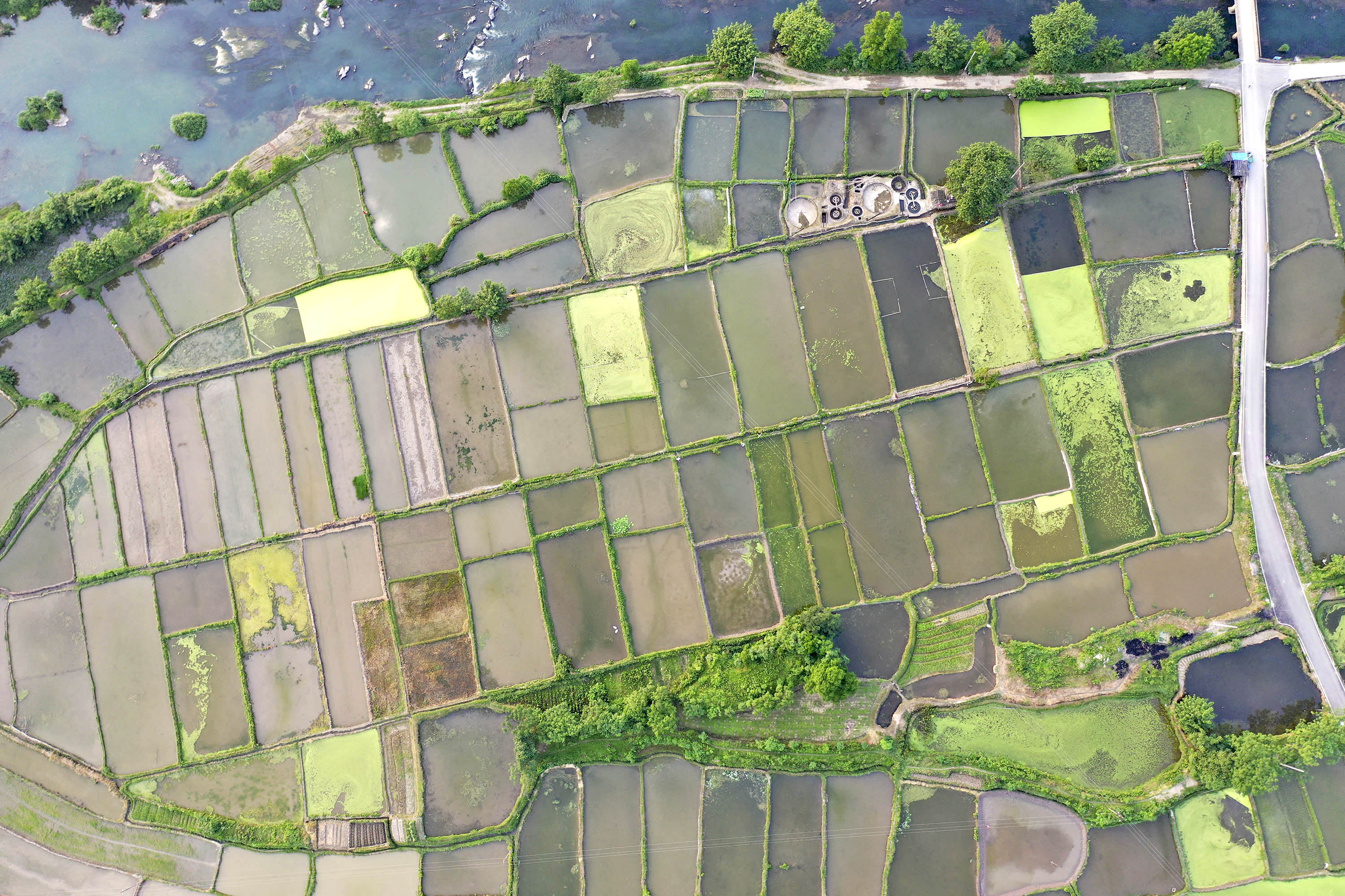 湖南道县:水乡田野如画