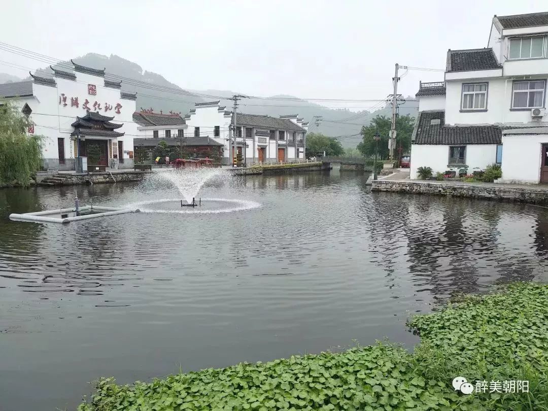 没想到在平阳县鳌江镇厚垟村却有美得如同山水画一样的江南风景.