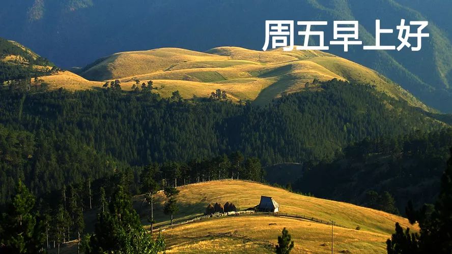 周五你好周五早安