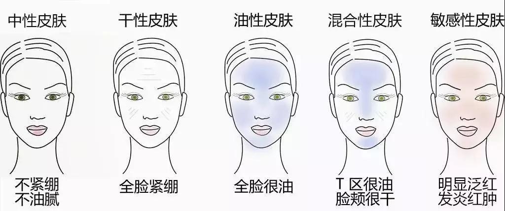 一般来说人的肤质分为五种: 中性肌肤,油性肌肤,干性肌肤,混合型肌肤