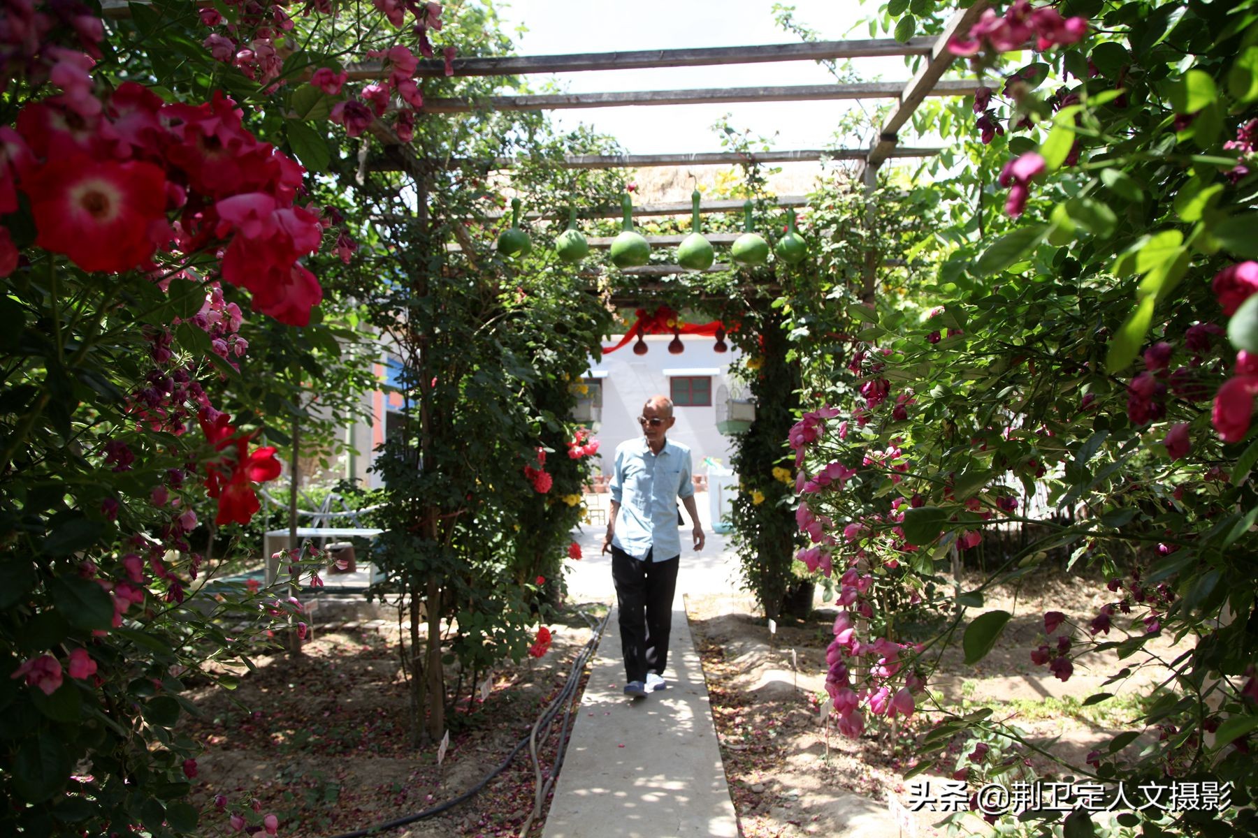 山西農村75歲老人耗時8年把1塊垃圾場建成小花園,看他生活成啥樣