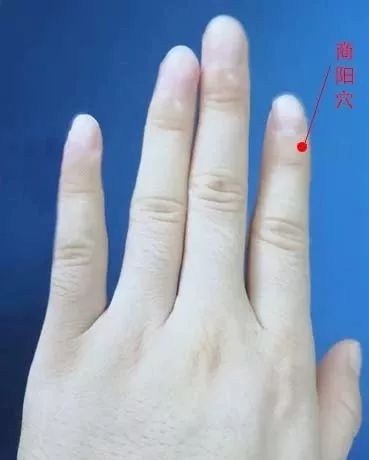 【取穴位置】商阳穴在手食指末节桡侧,距指甲角01寸