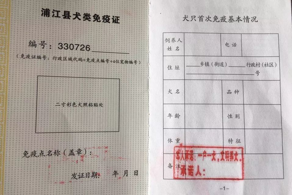 养犬人士这份狗狗免疫登记指南请务必查收