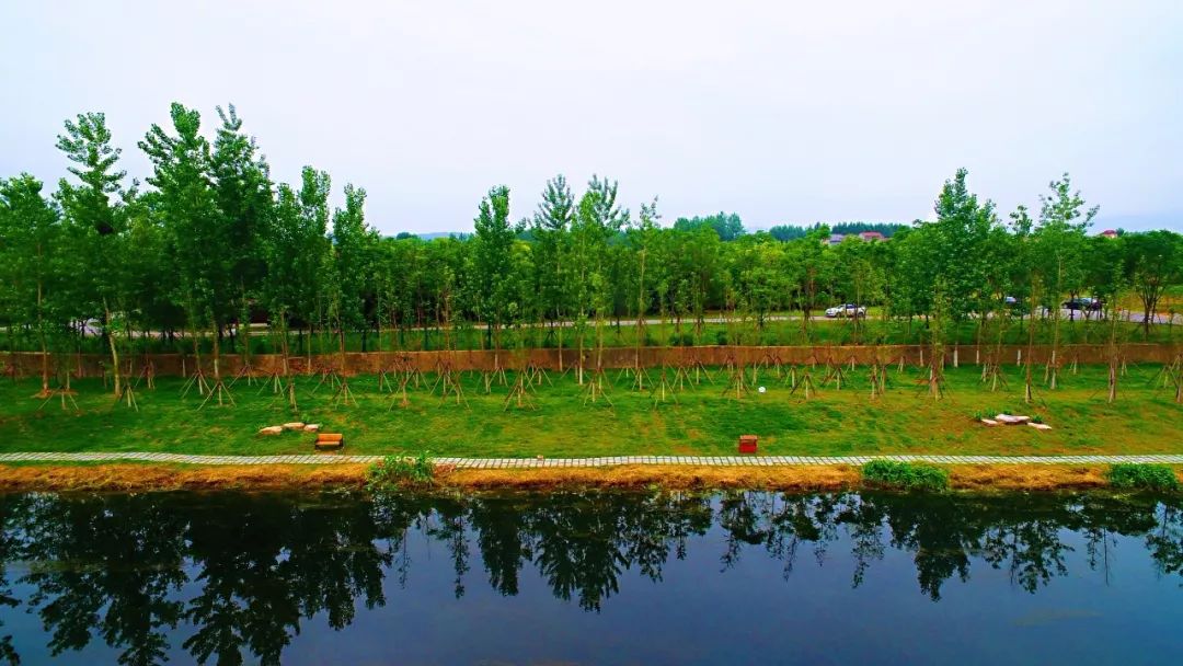 美景大放送当阳沮河湿地公园要火了