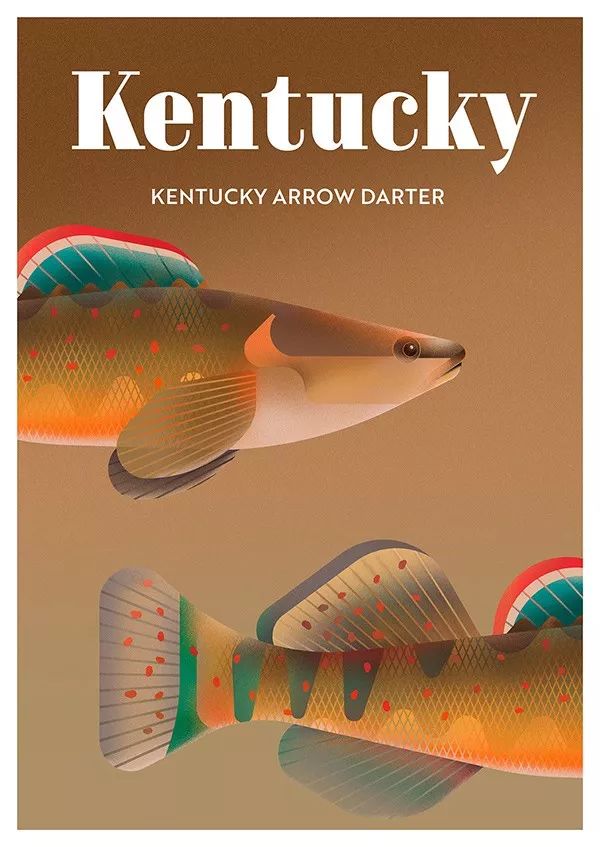 动物丨这是我见过最好看的50张濒危动物海报