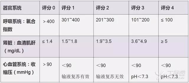 marshall评分图片