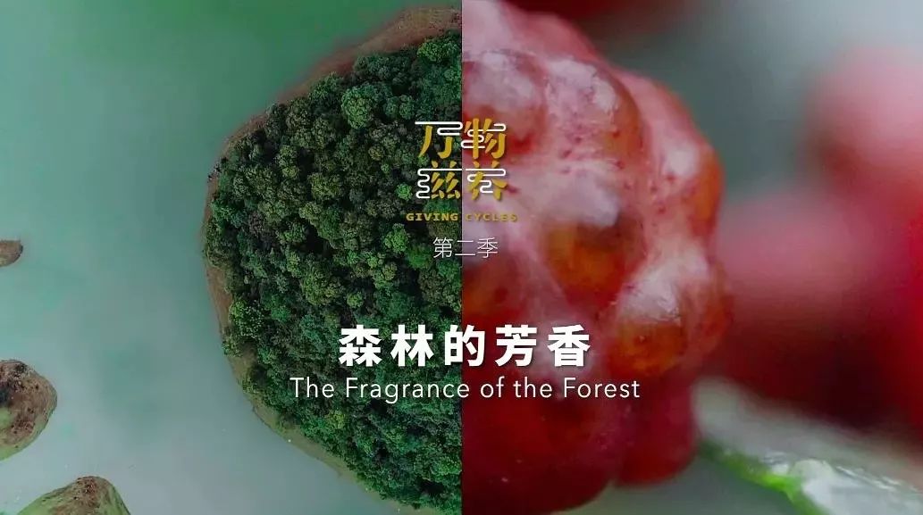 《万物滋养》第二季