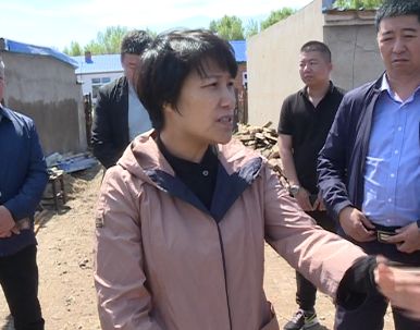安达发布要闻安达市委书记刘淑芬到中本镇羊草镇调研指导四类人群危房