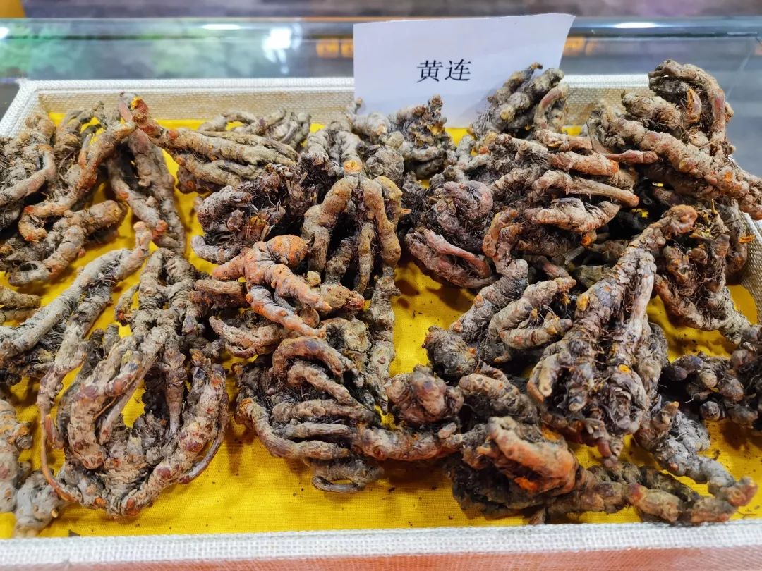 安康这个县遍地都是宝其貌不扬土疙瘩成村民致富金娃娃897新时代