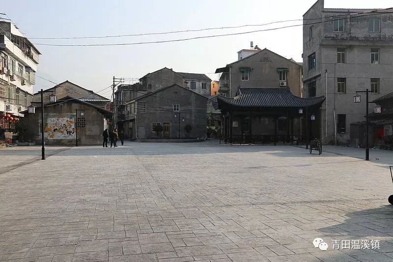 整治后因地制宜 打造美丽庭院砌围墙,铲运垃圾,种花草……走进处州街