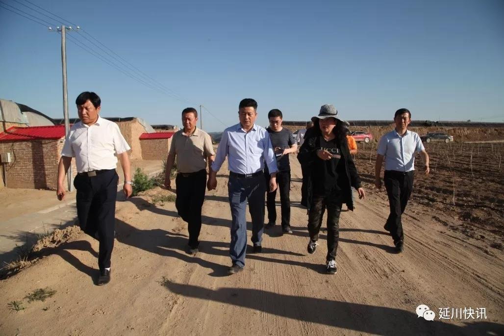 县委书记张永祥对延川百优生态农业发展有限公司农业综合开发区域生态