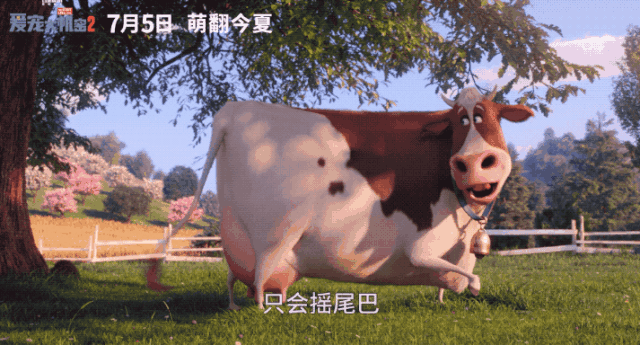 奔跑的牛动图图片
