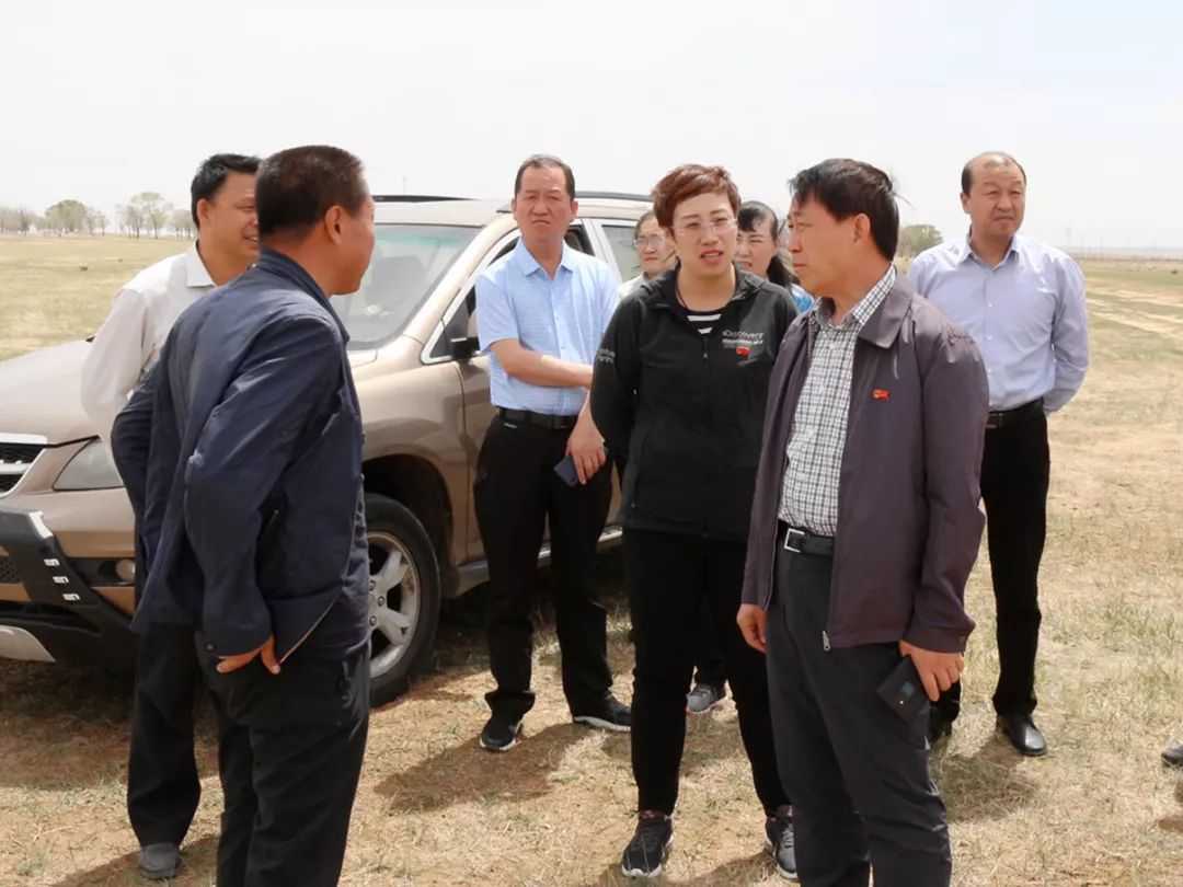 【包头市固阳县怀朔镇】市人大常委会副主任,县委书记赵君深入怀朔镇