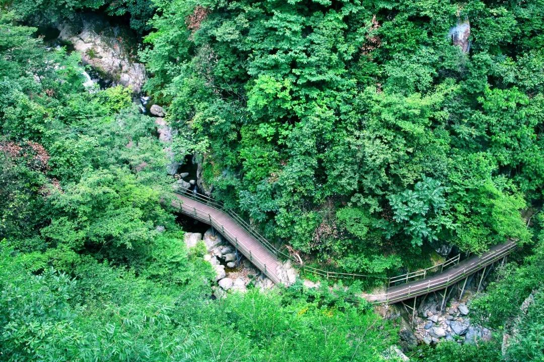 龍津溪地杯大別山紅色越野賽選手免費游龍津溪地