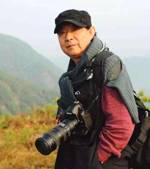 散文邓勤岭南雁捎雨果情