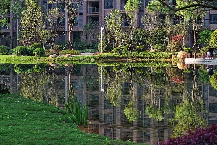 这样的大区才是家