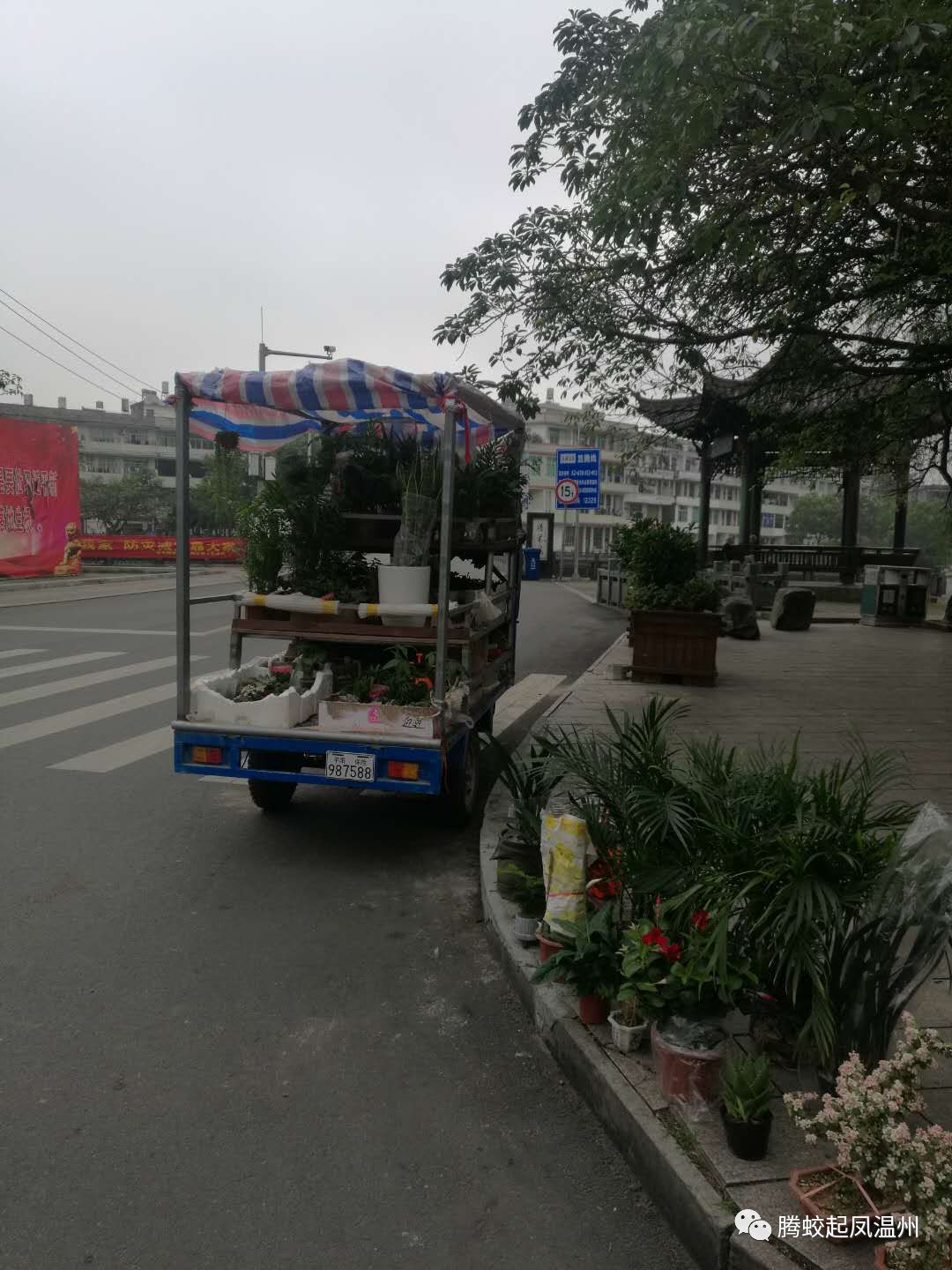 平阳最新一批不文明行为被曝光