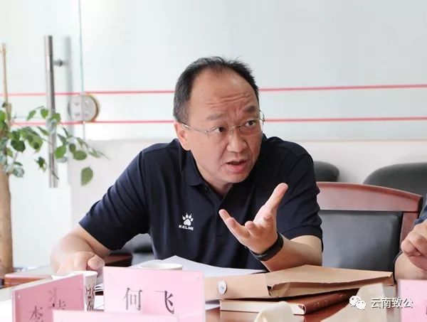 何飞刘彦丁俊白璐叶宏夏爱博李凌致公党云南省委组织处相关人员参加