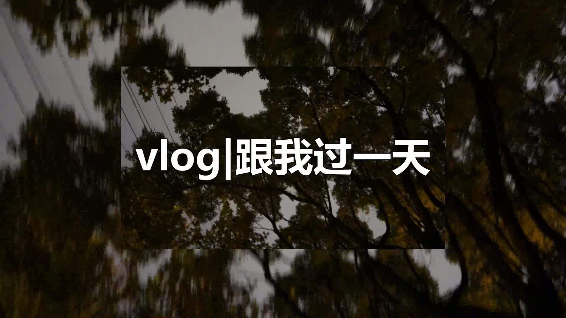 米可网络:优质的vlog能助力自媒体成长
