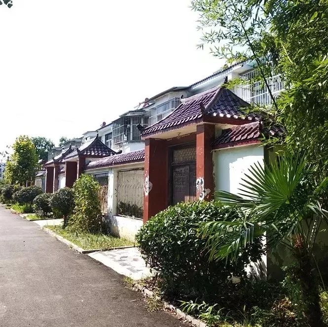 房前屋后花木葱茏水泥道路平坦洁净随着农村人居环境整治的不断深入