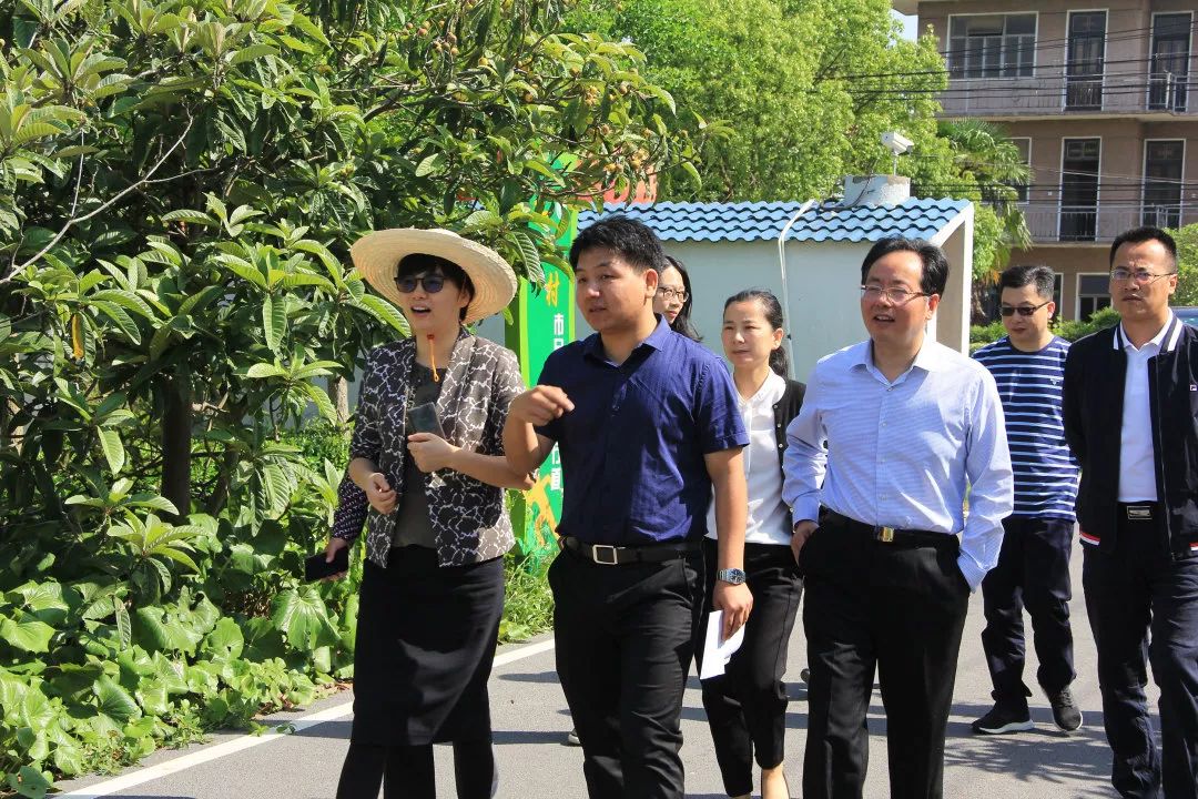 领导调研区农业农村委主任宋学梅一行来我镇指导乡村振兴示范村建设