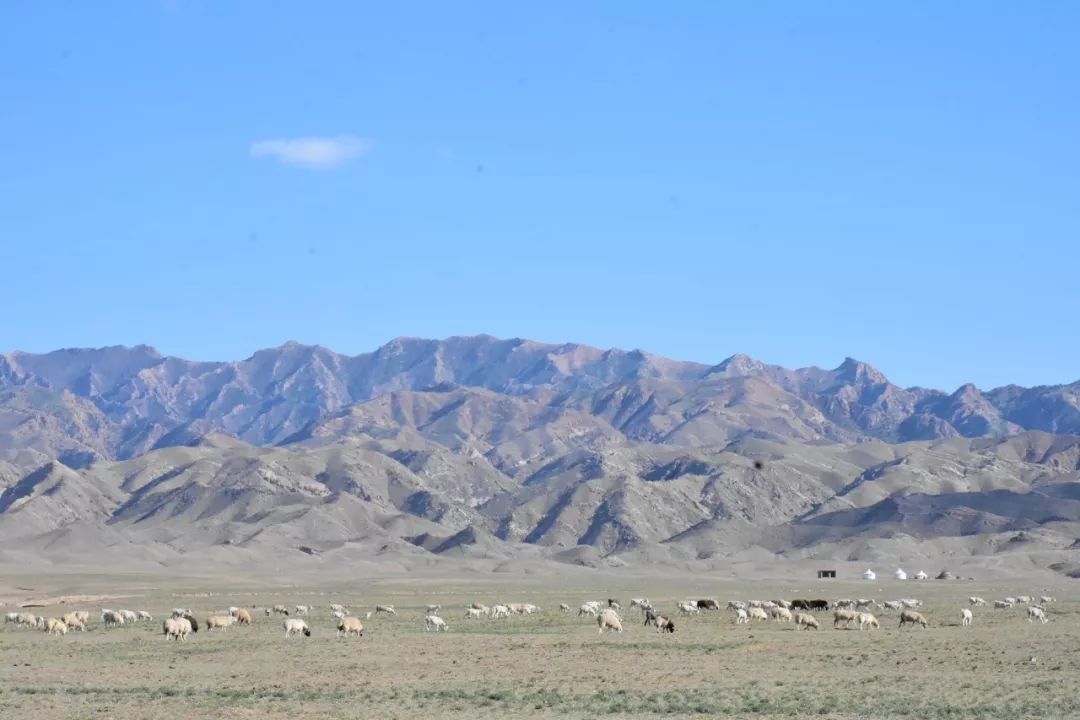 内蒙古莫尼山全景图片