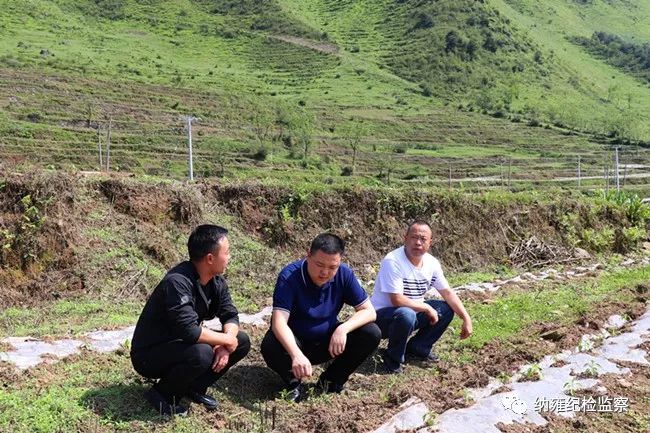 县委常委,县纪委书记,县监委主任袁靓到姑开乡调研脱贫攻坚,民族宗教