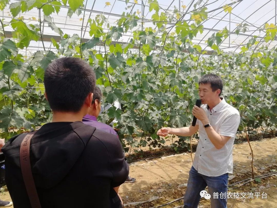 潍坊职业农民学院2019年乡村振兴第一期培训班峡山圆满成功