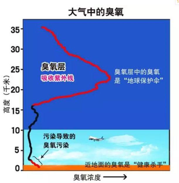 平流层臭氧距离地面25公里-30公里,可以有效吸收太阳紫外线辐射,是对