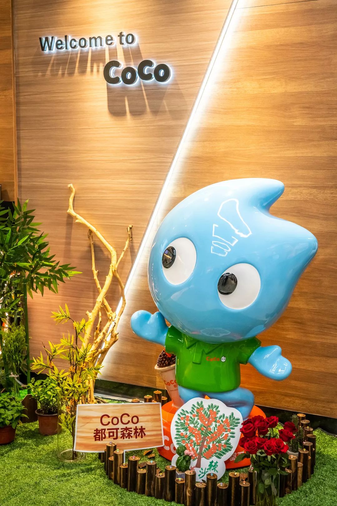 CoCo夏季新品来袭!喝一杯沙棘,造一片绿洲!_饮品