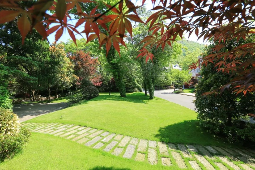 人文经典项目舟山玫瑰园