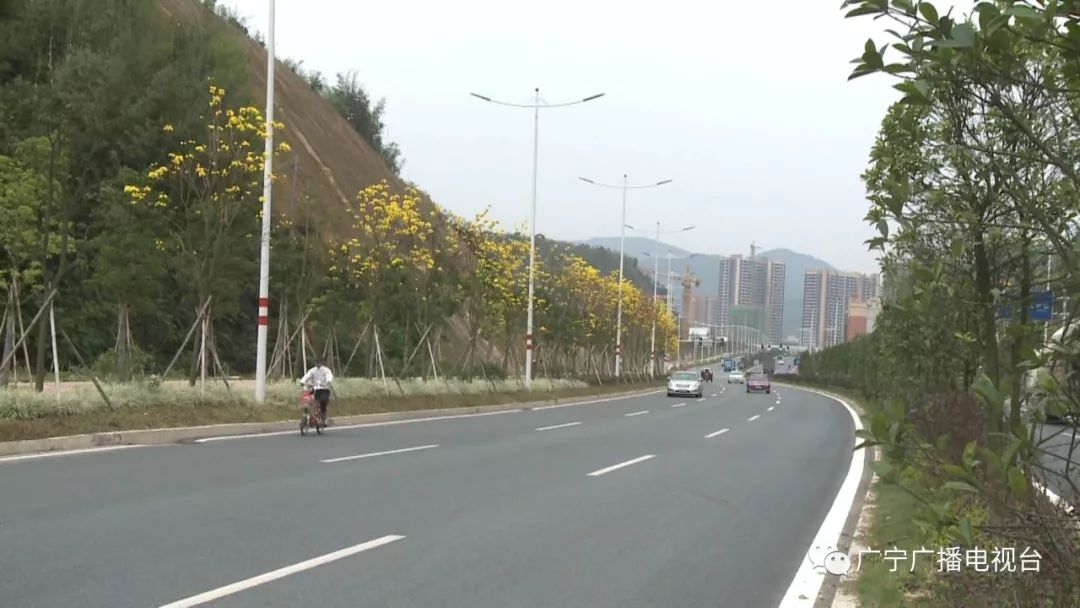 肇明高速广宁宾亨至高要水南段已铺开前期工作1小时交通圈无缝对接珠