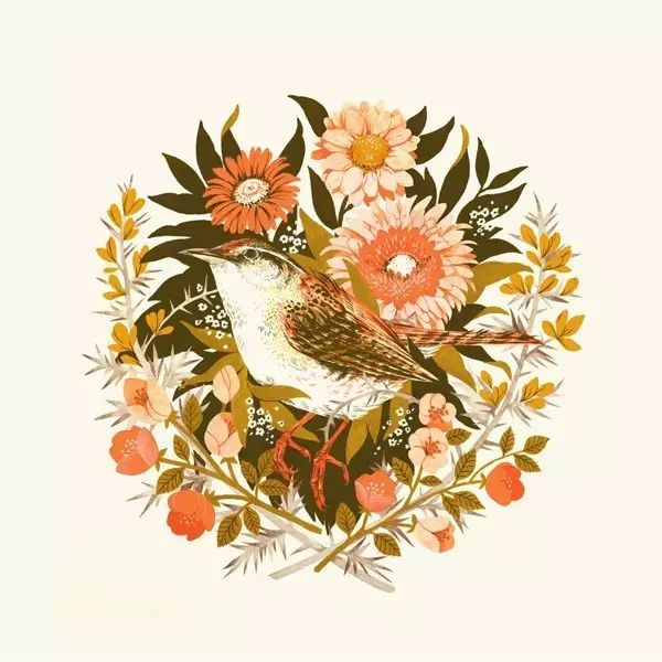 看看美国插画师teaganwhitehoneysorrow