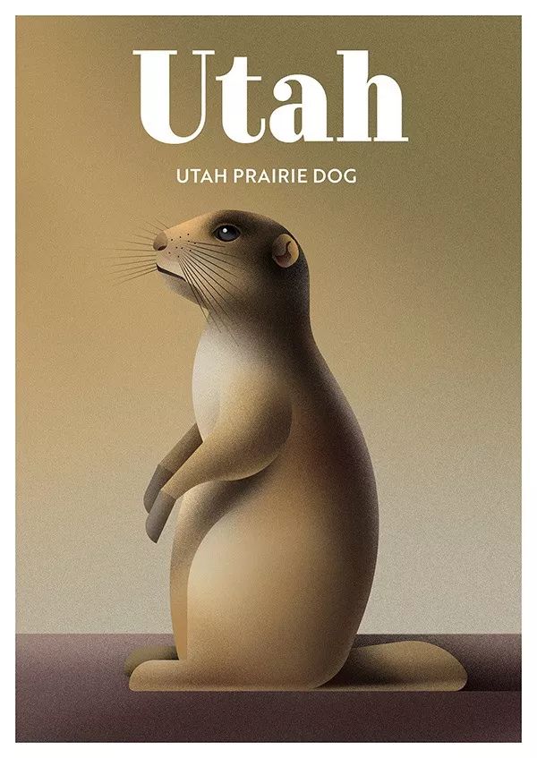 动物丨这是我见过最好看的50张濒危动物海报