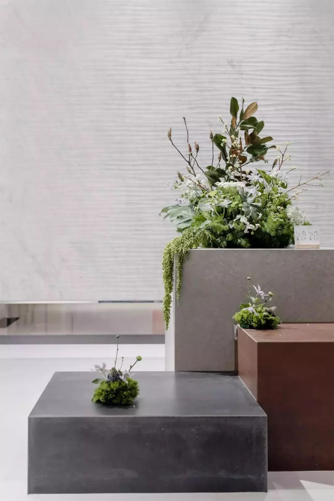 绿植摆设|如何给空间带来生机?