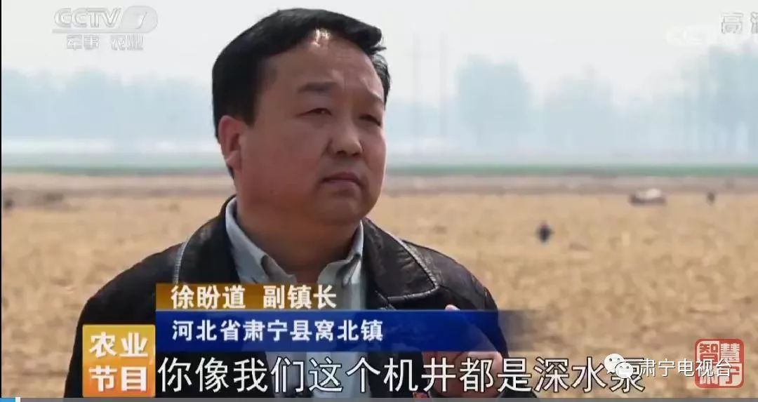 西柴村地休人不休登上央视