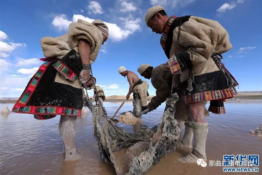 天边的驮盐队藏北牧人远去的背影