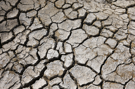 为什么在干燥的秋季,痘痘也会疯长?