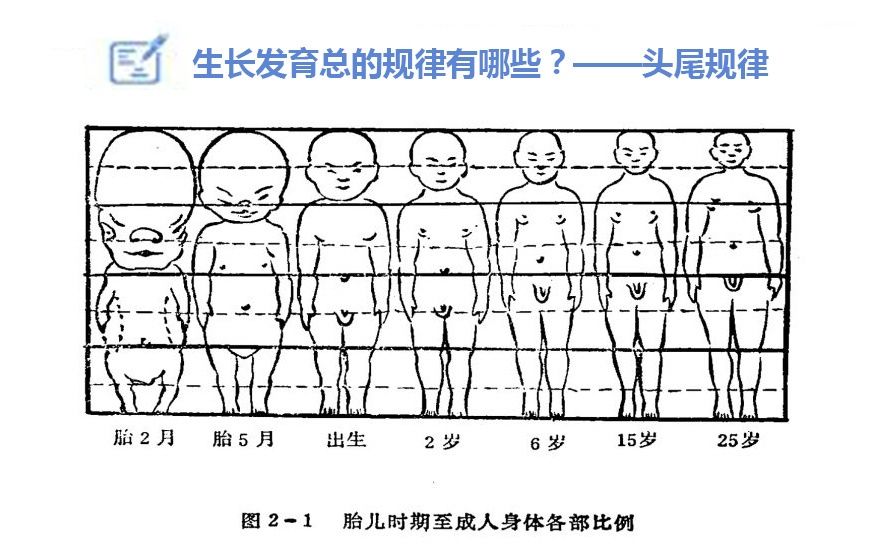 儿童医院内分泌代谢权威专家带您破解儿童长高密码