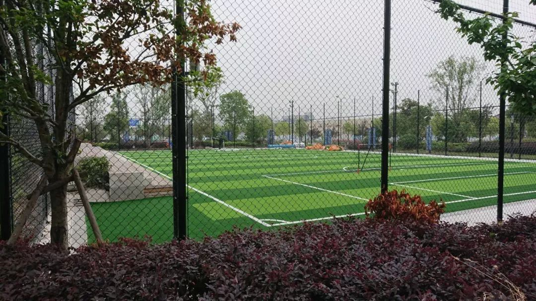 523s7公路现场龙湖篮球场足球场建成顾村公园荷叶繁盛刘行居住证5月25